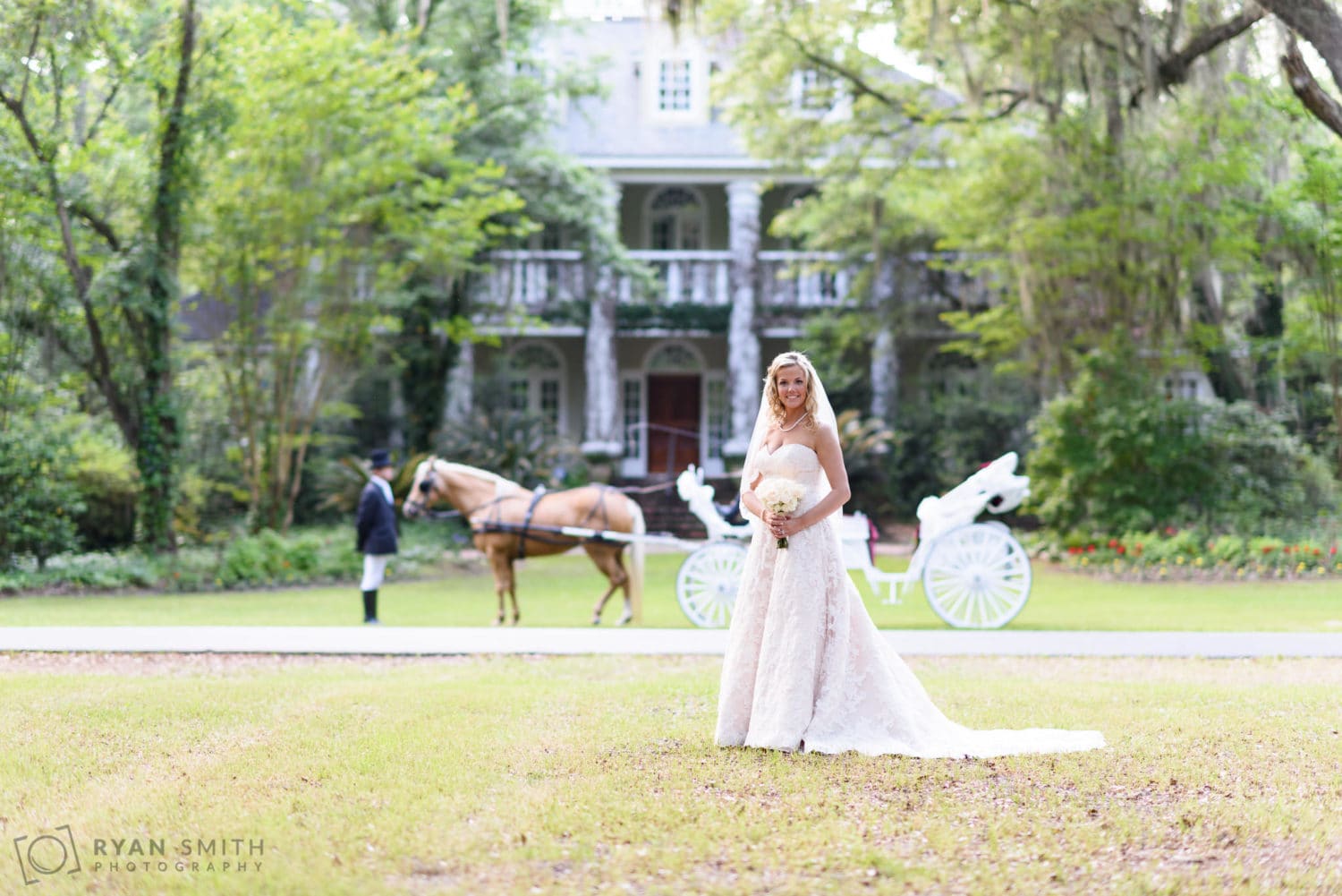 Bride and groom on the oak alley - Wachesaw Plantation