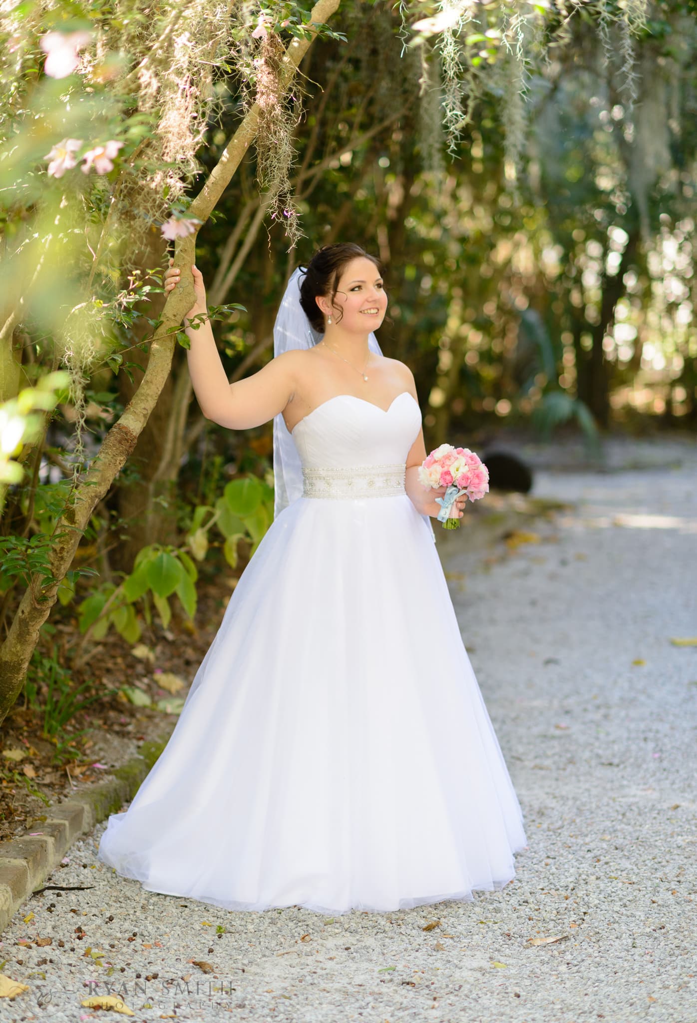 Bride holding on to the branch - Magnolia Plantation