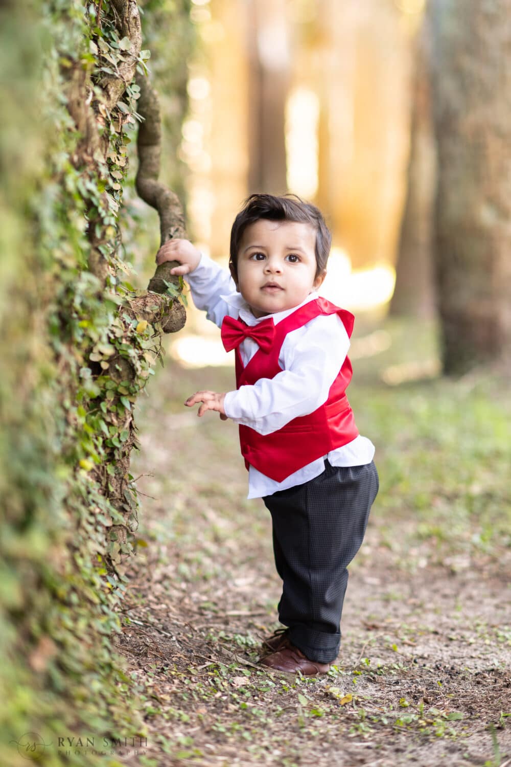 Baby boy holding on to branch by castle wall - Atalaya Castle