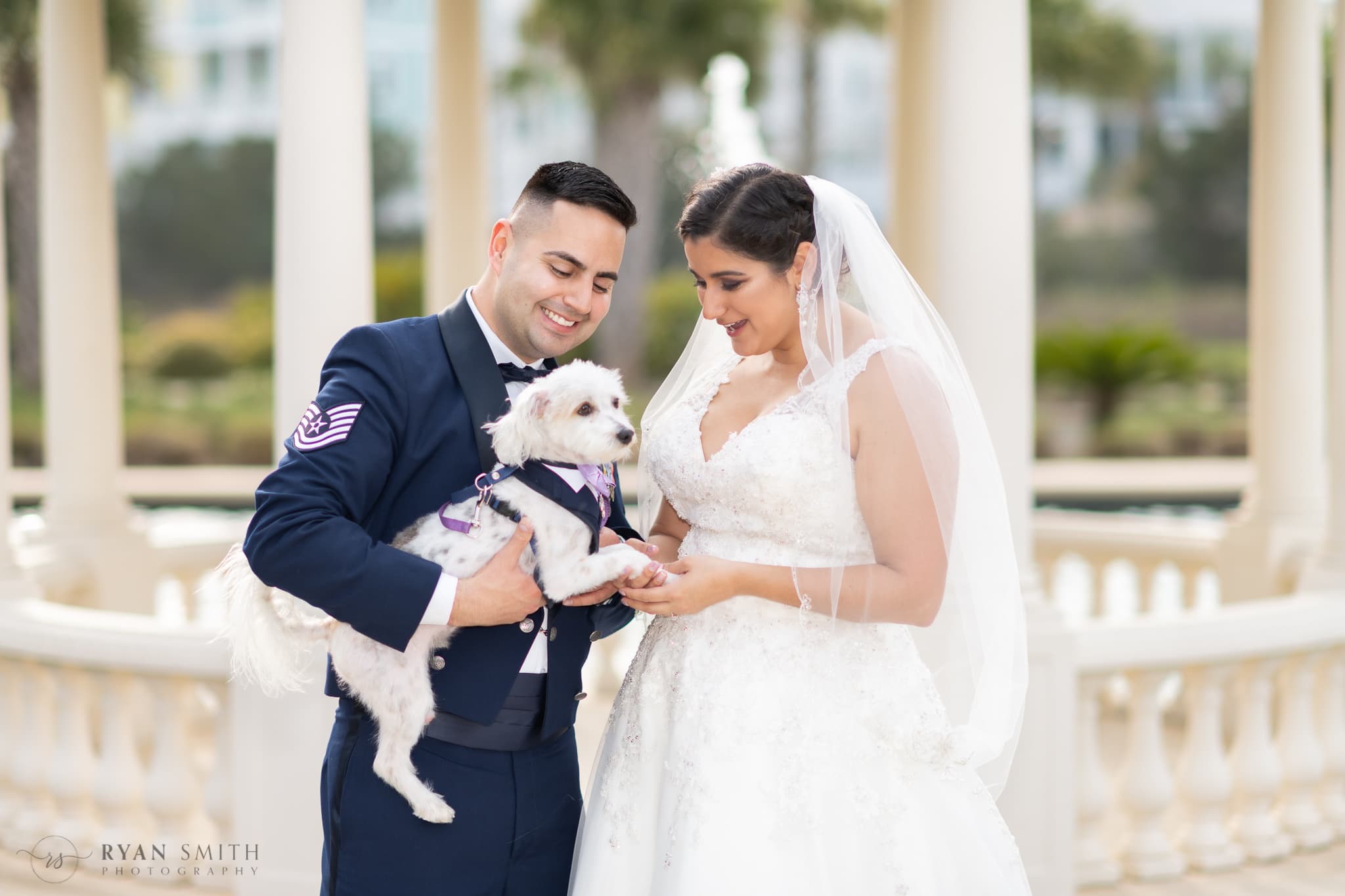 Bride and groom with their three leg doggie ring bearer  - 21 Main Events at North Beach