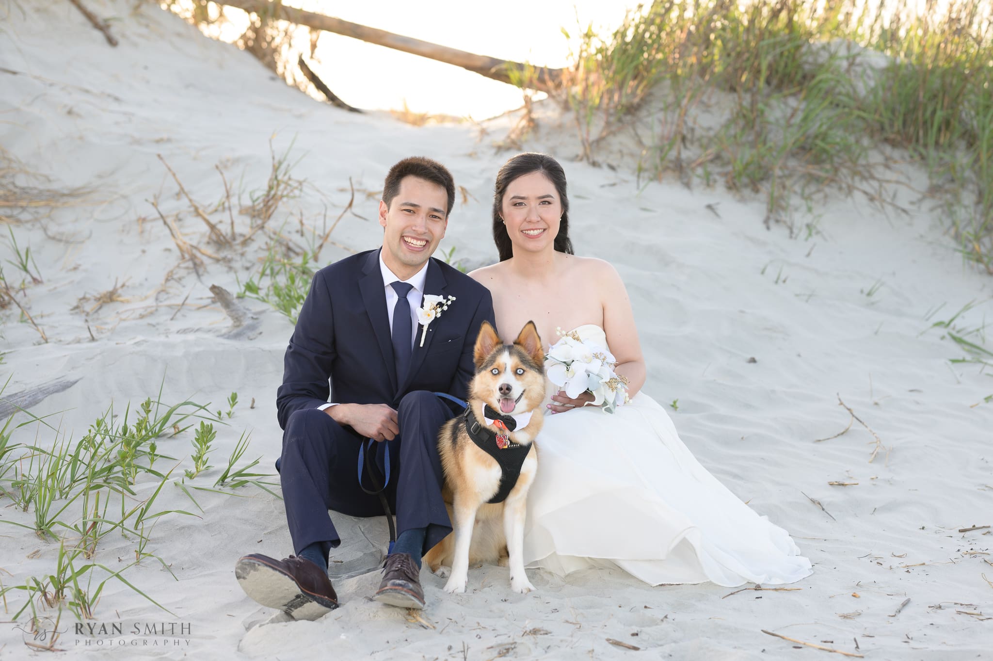 Couple sitting by the dunes with their dog ring bearer in tie -
