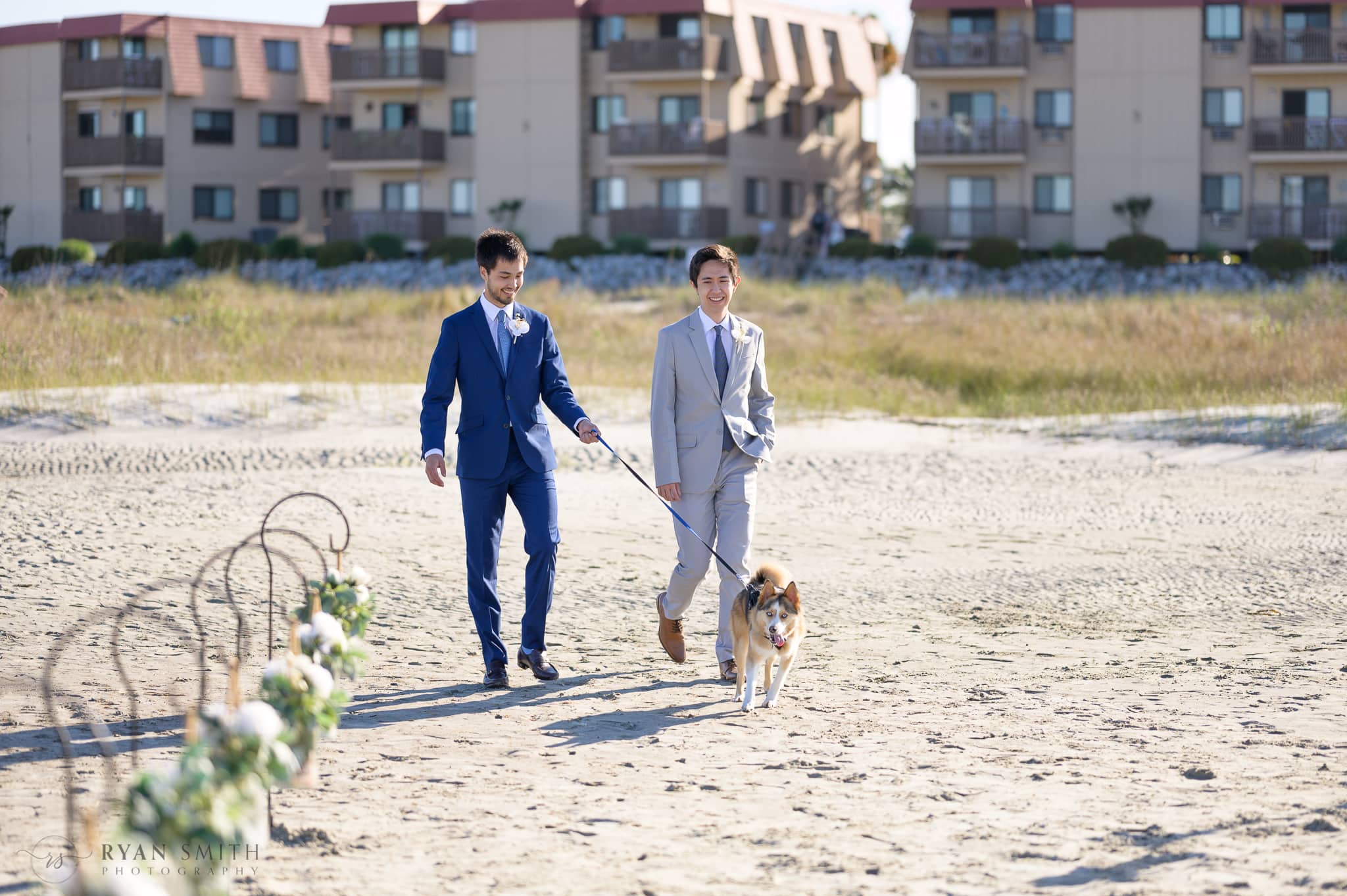 Happy dog walking towards the wedding - Cherry Grove Point - North Myrtle Beach