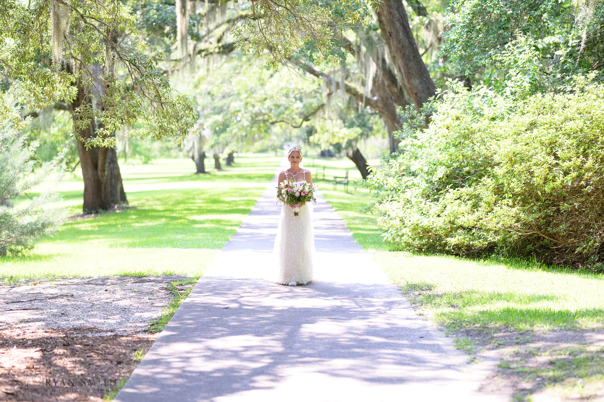 Bride on the garden path - Brookgreen Gardens