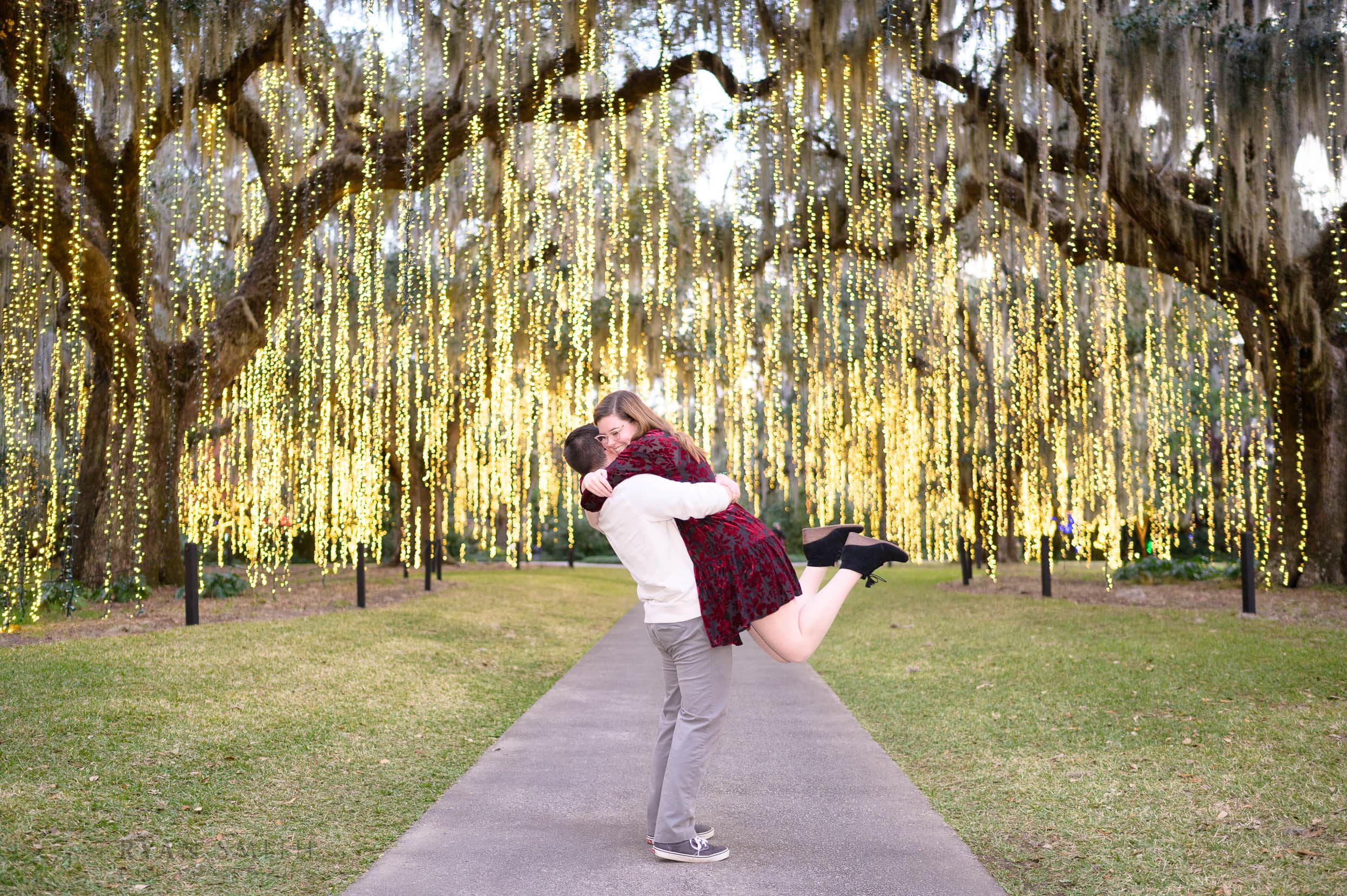 Engagement portraits with lights hanging from the trees on the Live Oak Allee - Brookgreen Gardens
