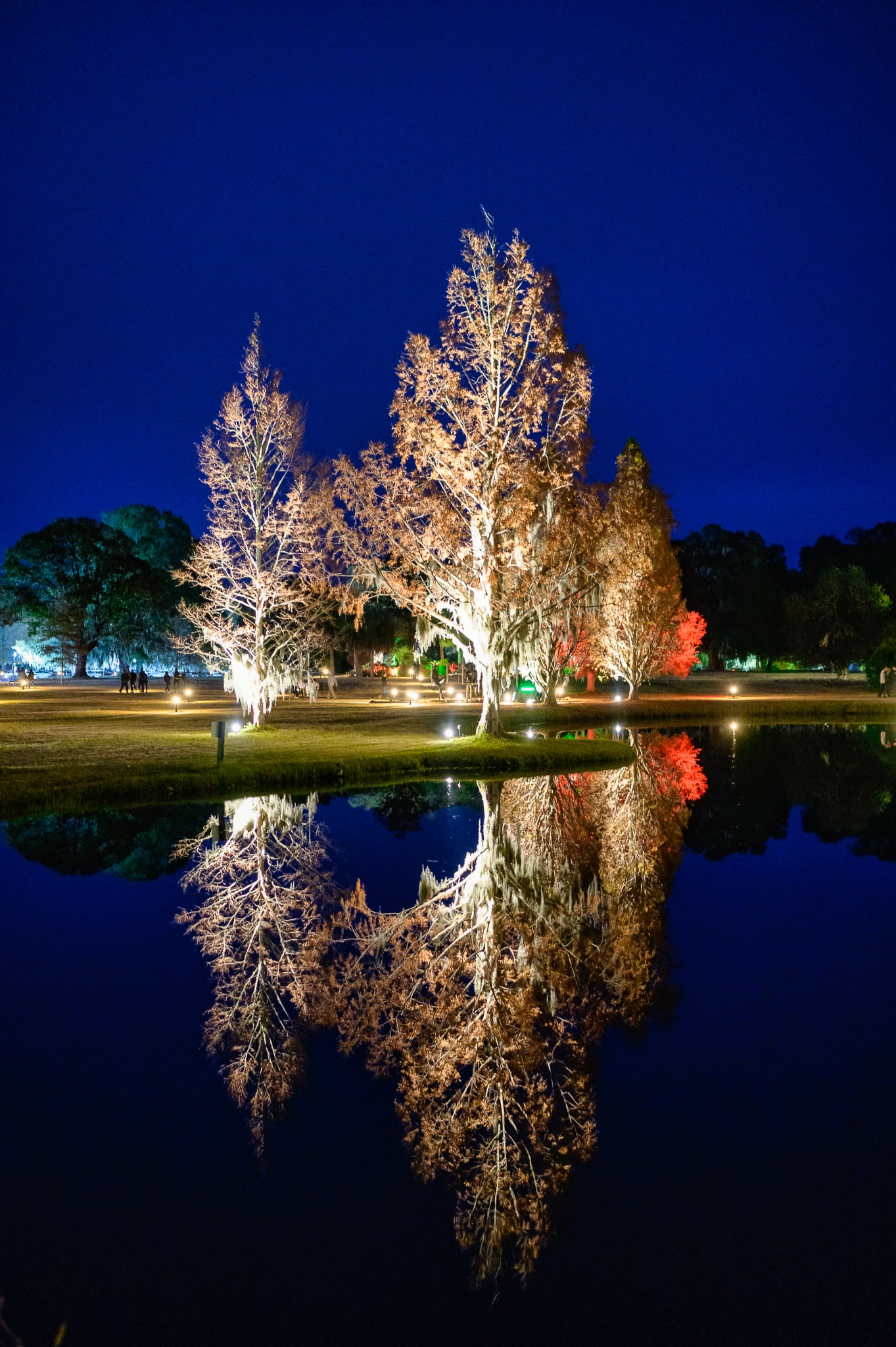Landscape pictures during the Night of a Thousand Candles - Brookgreen Gardens