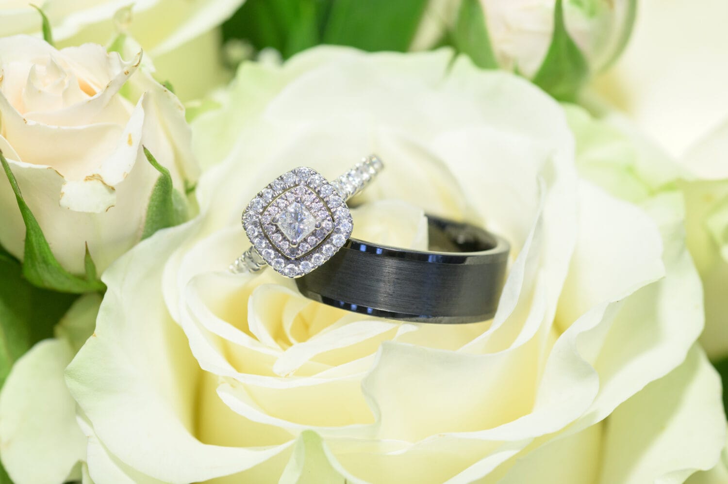 Rings on flowers - The Venue at White Oaks Farm