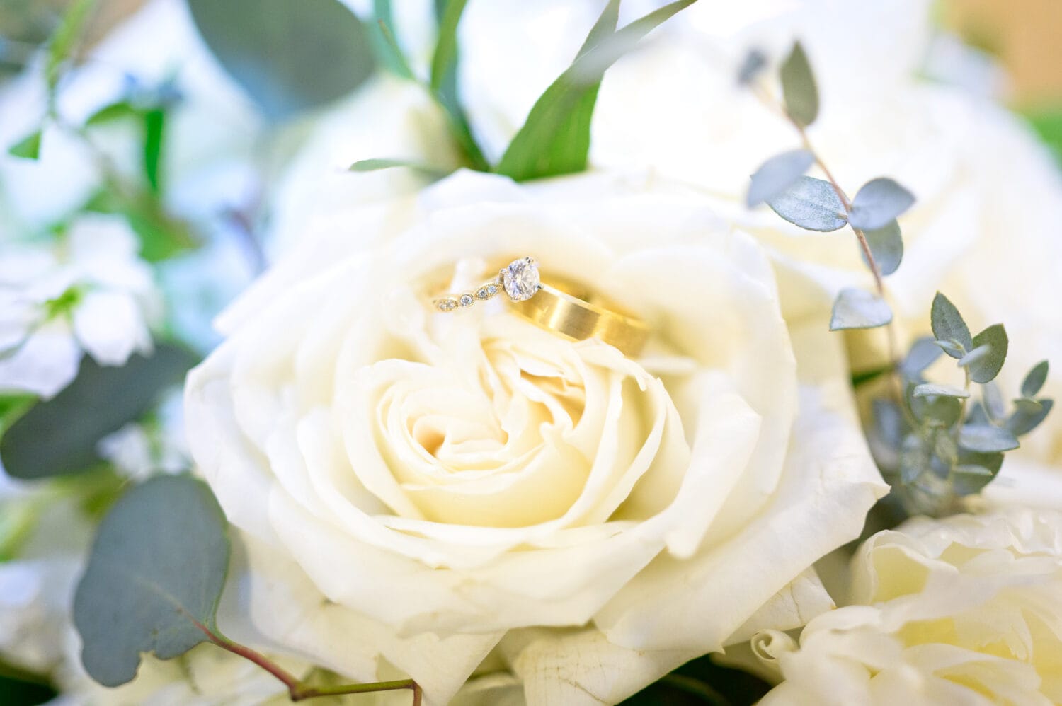 Rings on the flowers - Pawleys Plantation Golf & Country Club