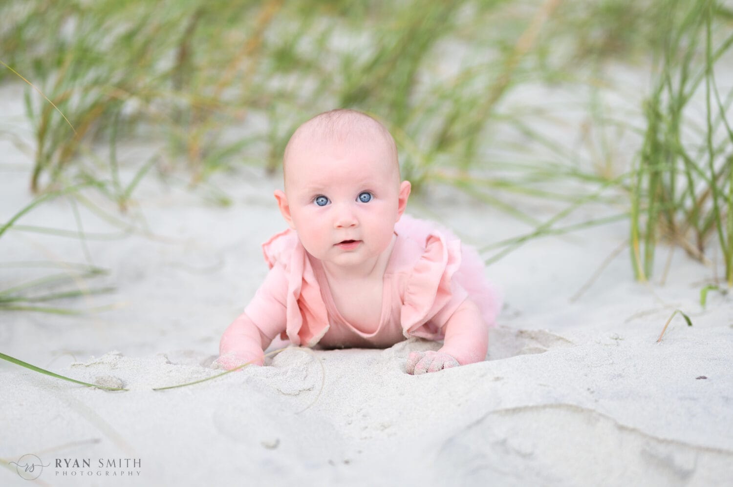 Infant baby portraits - Huntington Beach State Park