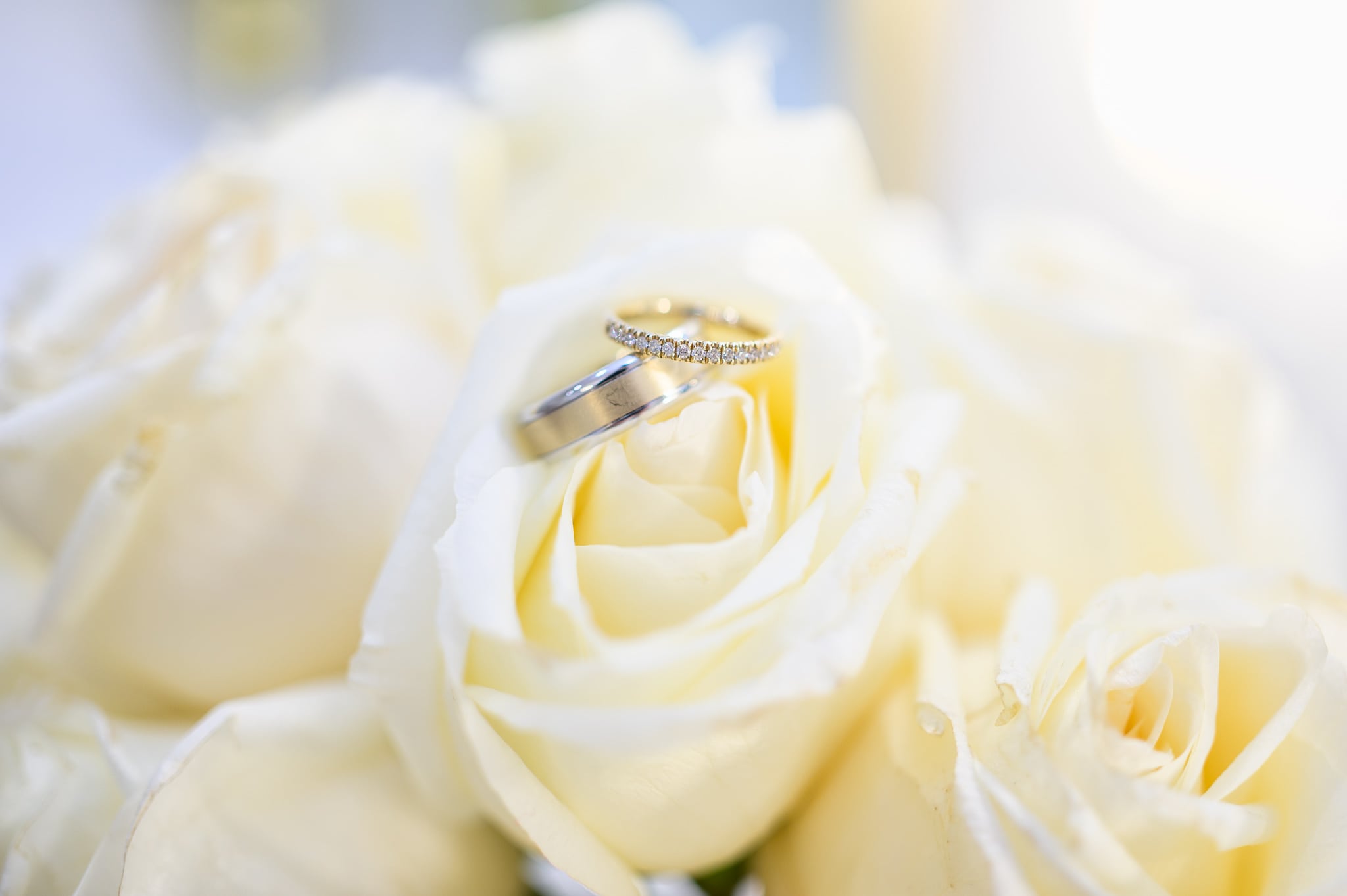 Rings on the flowers - The Venue at White Oaks Farm