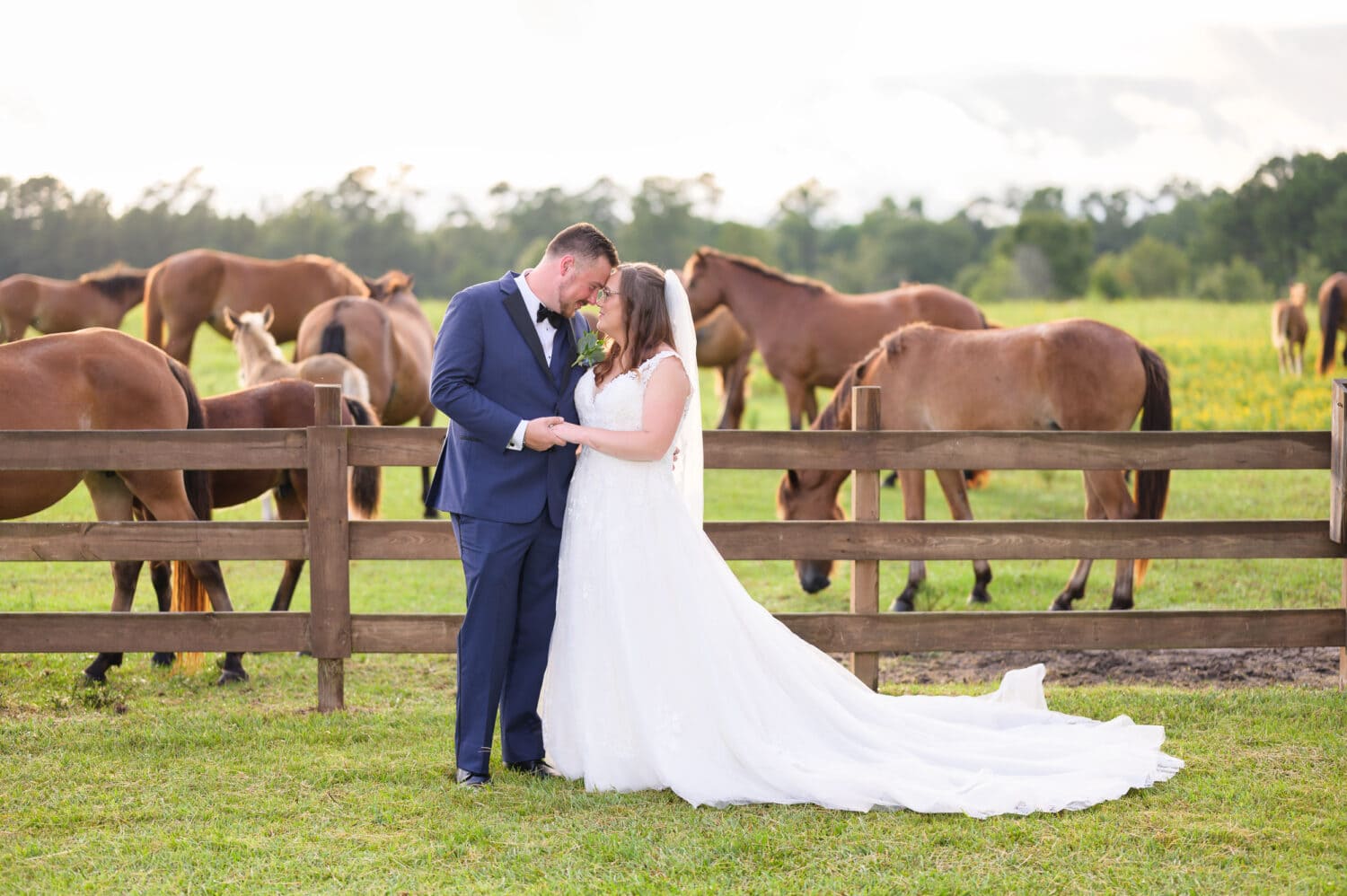 Romance in front of the horses  - Wildhorse at Parker Farms