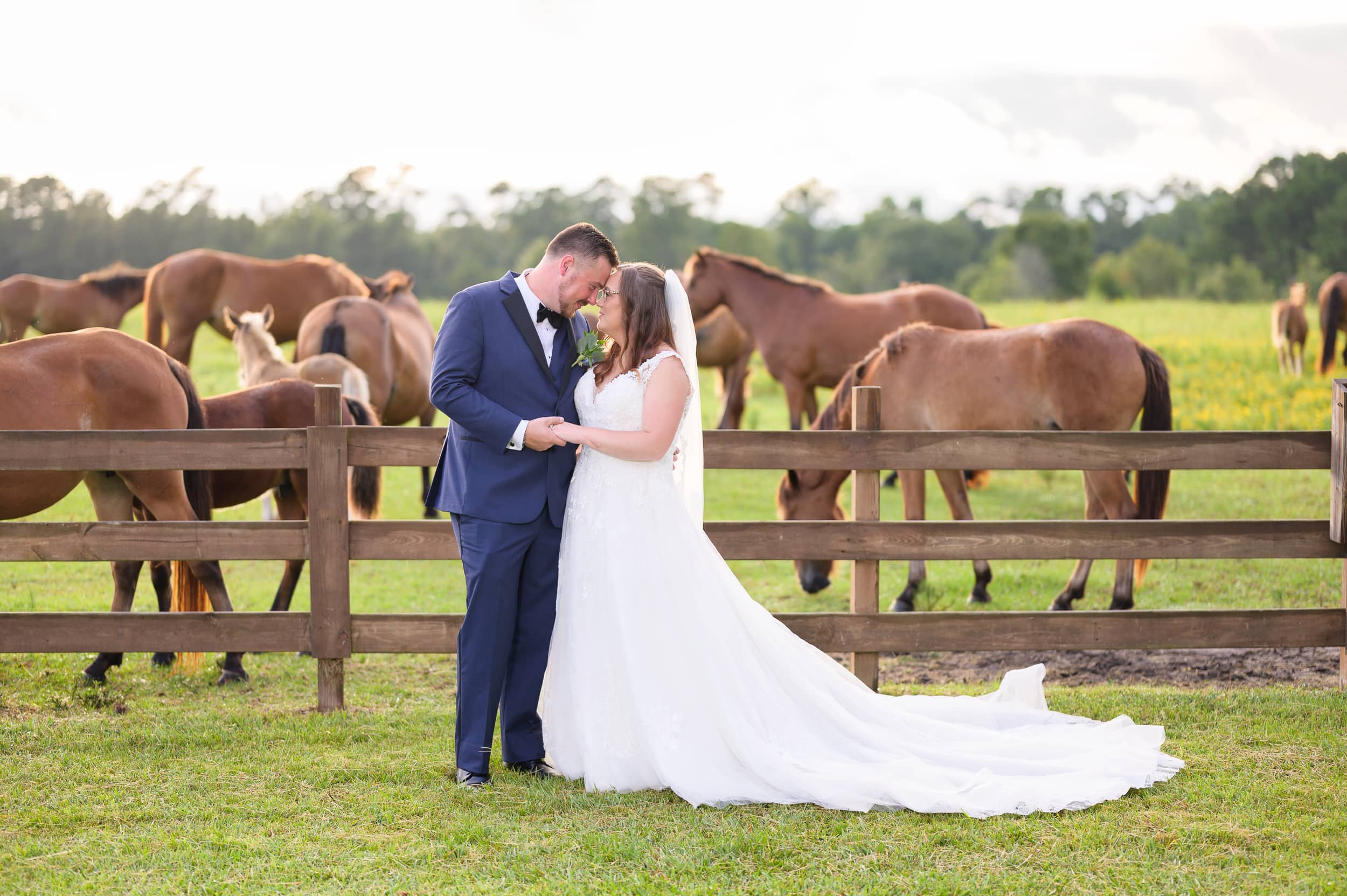 Wedding at WildHorse at Parker Farms with horses and a beautiful sunset