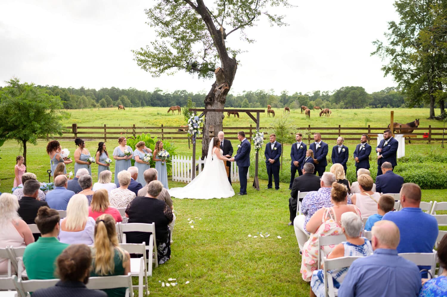 Wide angle of ceremony location with horses in the background - Wildhorse at Parker Farms