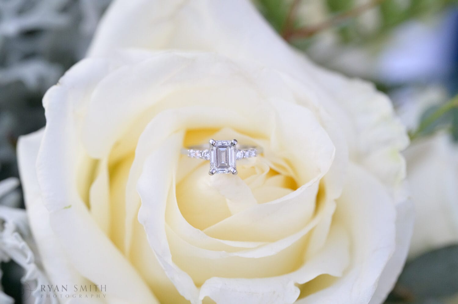 Brides ring on the flower - Safe Harbor Reserve Harbor Yacht Club
