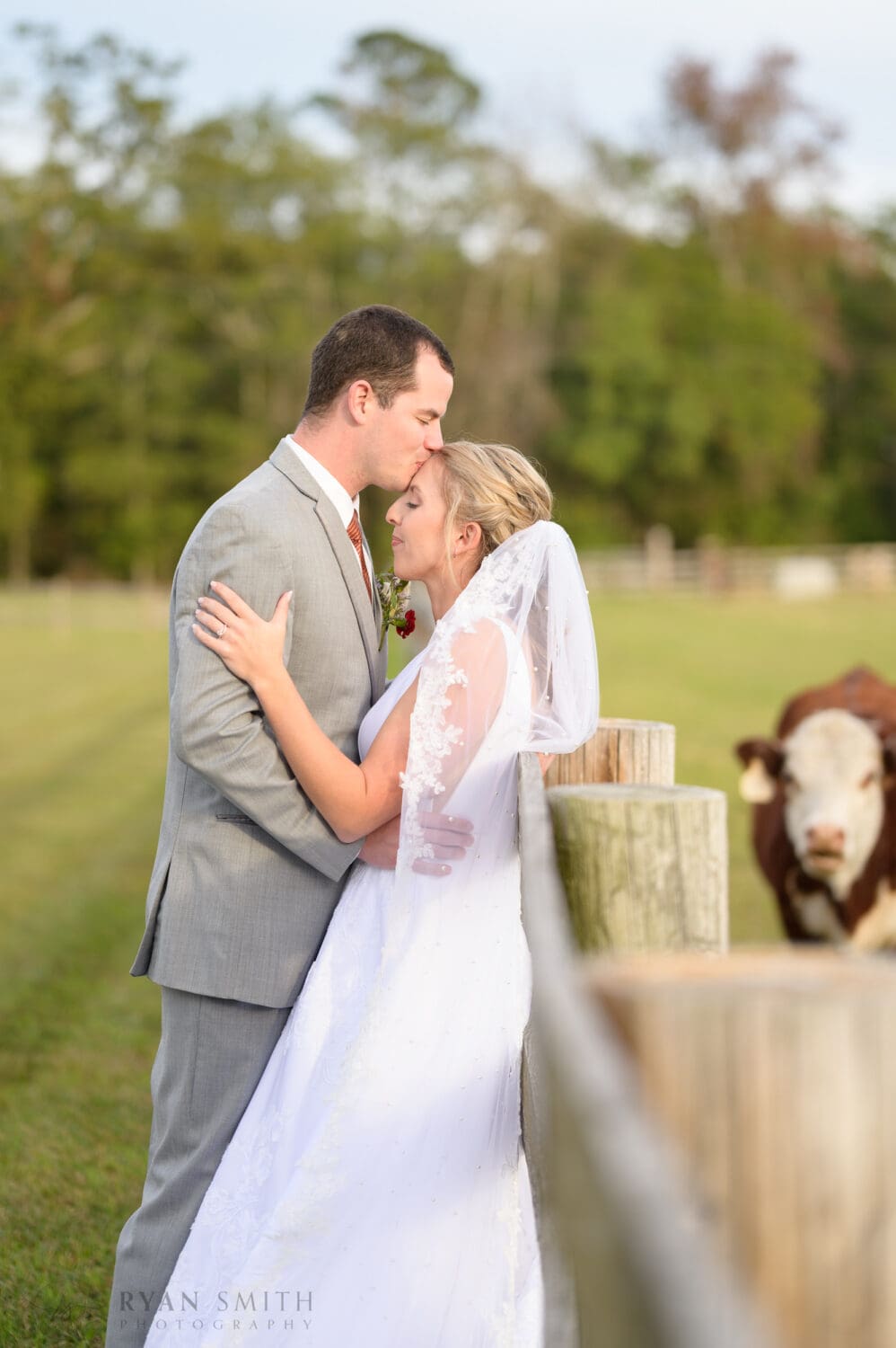 Bride and groom pictures by the farm animals - The Blessed Barn