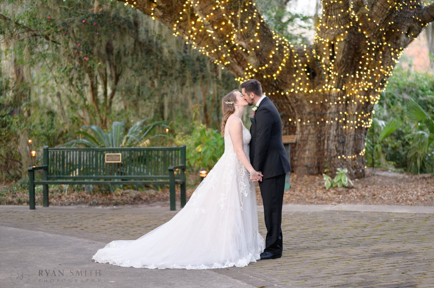 Kiss in front of the ancient tree - Brookgreen Gardens