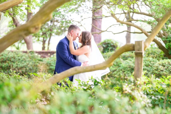 Romantic portraits of bride and groom through the trees - Pine Lakes Country Club