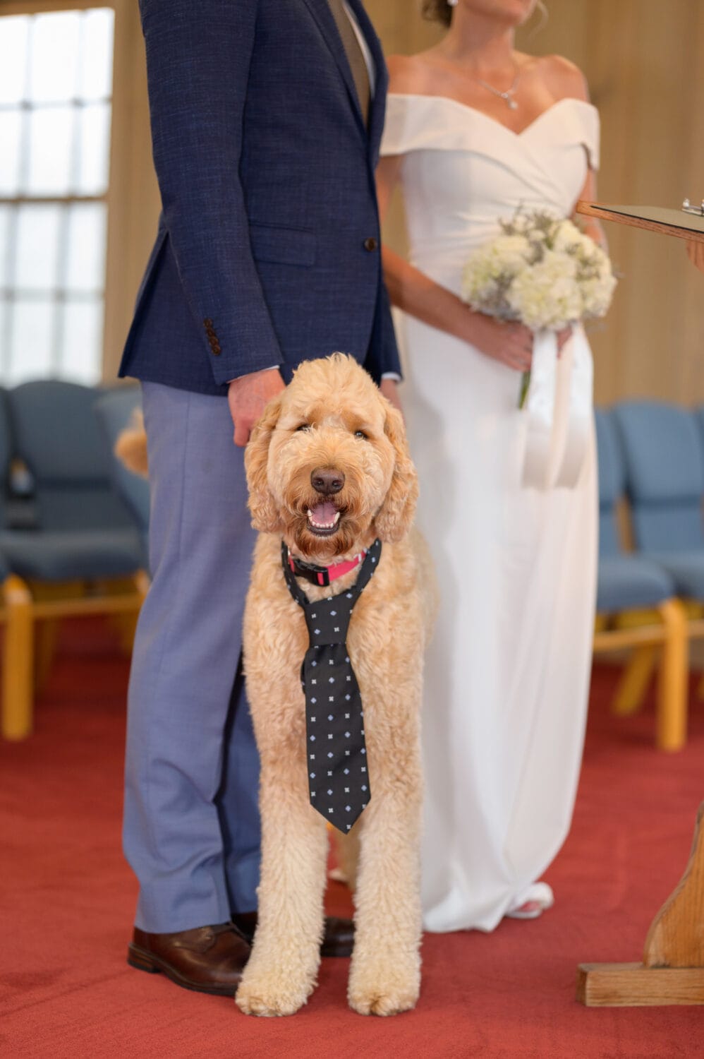 Dog mom and dad getting married with the pup in a cute tie for the wedding - Pawleys Island Chapel