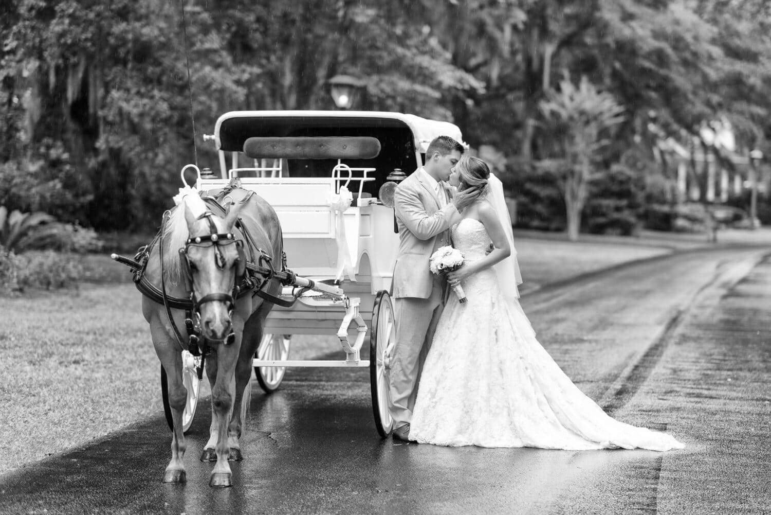 Kiss in the rain by a horse and carriage - Wachesaw Plantation