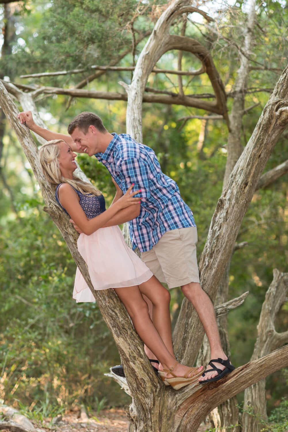 Couple having fun climbing an old tree together - Myrtle Beach State Park
